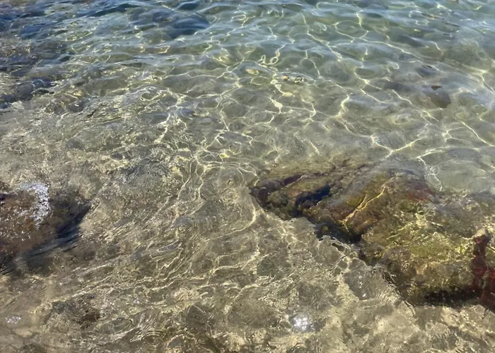 Дом отдыха Flora Fronte Mare *