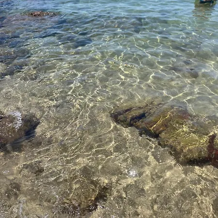 Сasa de vacaciones Flora Fronte Mare *